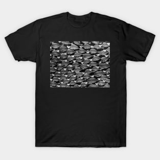 Drying Fish in Portugal T-Shirt